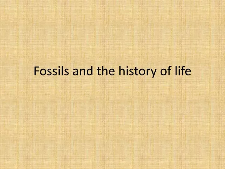 fossils and the history of life