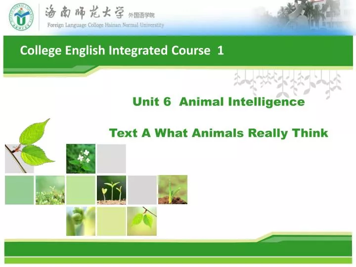 unit 6 animal intelligence text a what animals really think