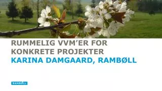 rummelig vvm er for konkrete projekter