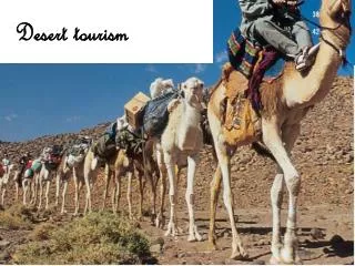 Desert tourism
