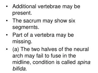 Additional vertebrae may be present. The sacrum may show six segmernts.
