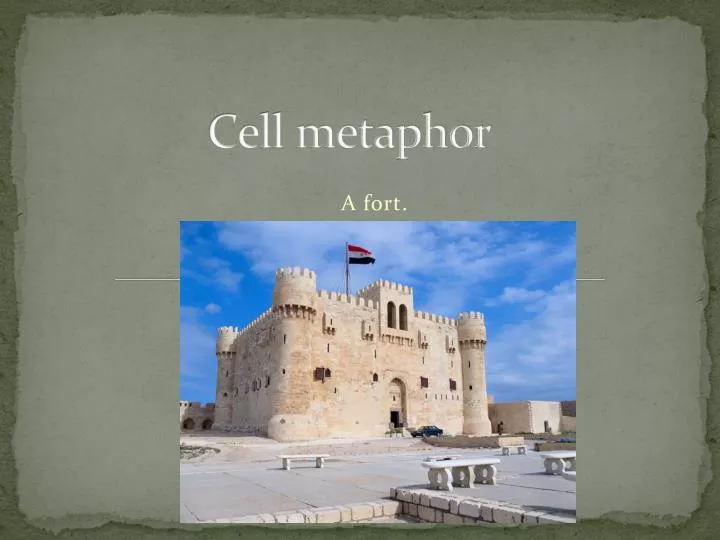 cell metaphor