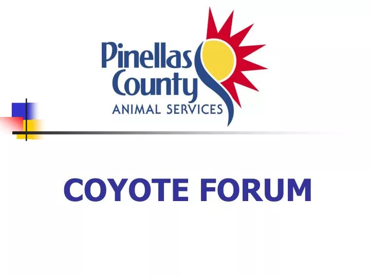 coyote forum