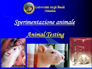 Sperimentazione animale Animal Testing