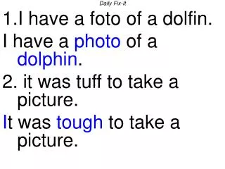 Daily Fix-It I have a foto of a dolfin. I have a photo of a dolphin .