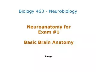 Neuroanatomy for Exam #1 Basic Brain Anatomy Lange