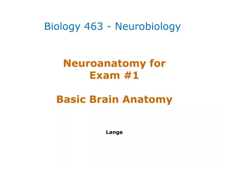 neuroanatomy for exam 1 basic brain anatomy lange