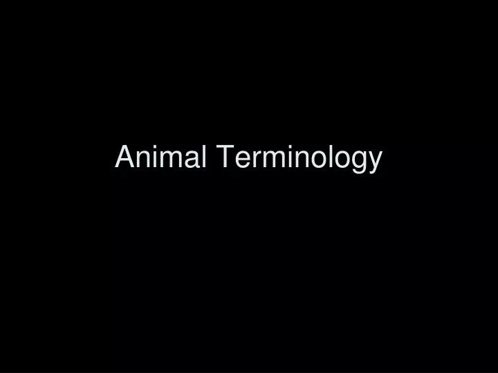 animal terminology