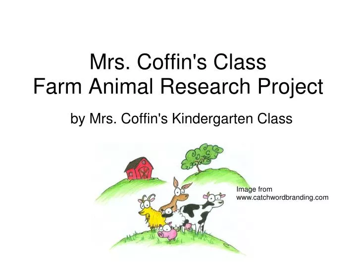 mrs coffin s class farm animal research project