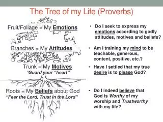 The Tree of my Life (Proverbs)