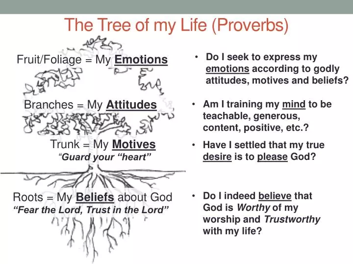 the tree of my life proverbs