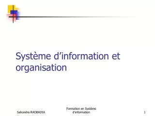 syst me d information et organisation