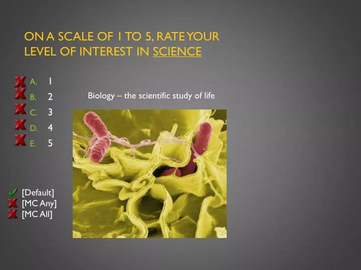 on a scale of 1 to 5 rate your level of interest in science