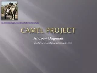 Camel Project