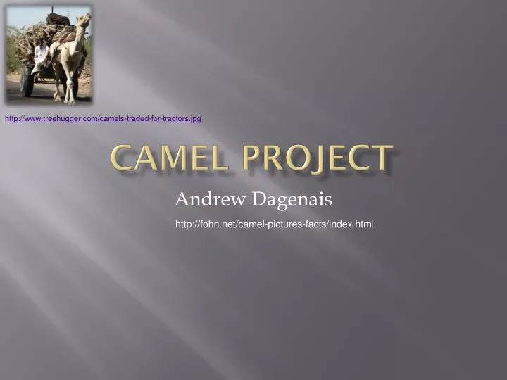 camel project