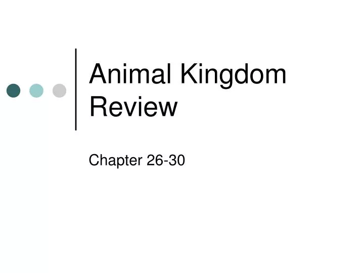 animal kingdom review