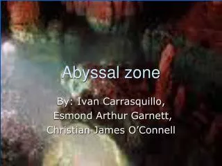 Abyssal zone