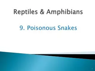 Reptiles &amp; Amphibians