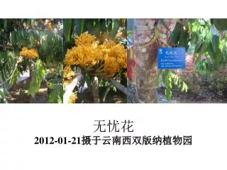 2012 01 21