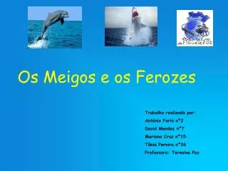 os meigos e os ferozes