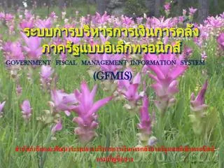 government fiscal management information system gfmis