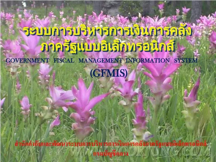 government fiscal management information system gfmis