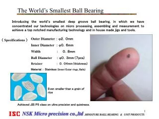 The World’s Smallest Ball Bearing