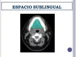 ESPACIO SUBLINGUAL - slide 1