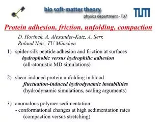 Protein adhesion, friction, unfolding, compaction