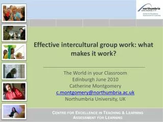 Effective intercultural group work: what makes it work?