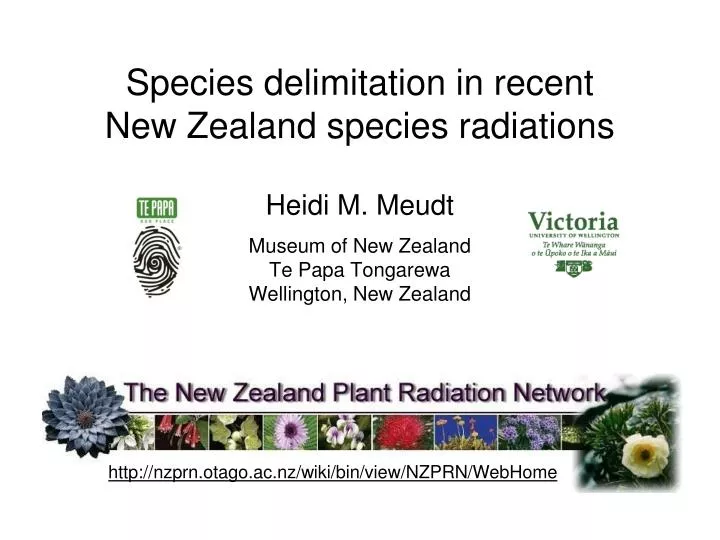 species delimitation in recent new zealand species radiations