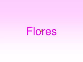 flores