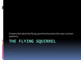 The flying squirre l