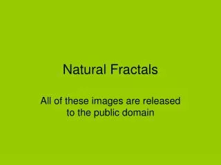 Natural Fractals