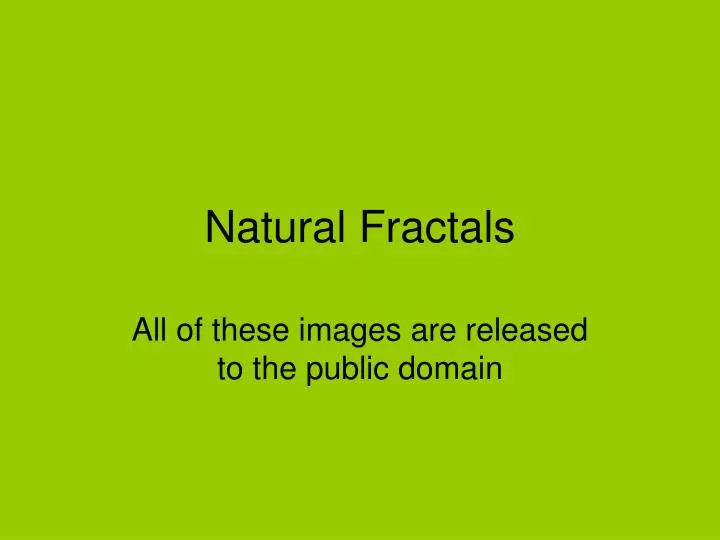 natural fractals
