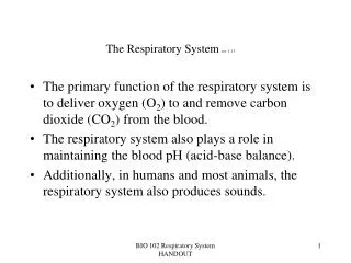 The Respiratory System rev 1-13