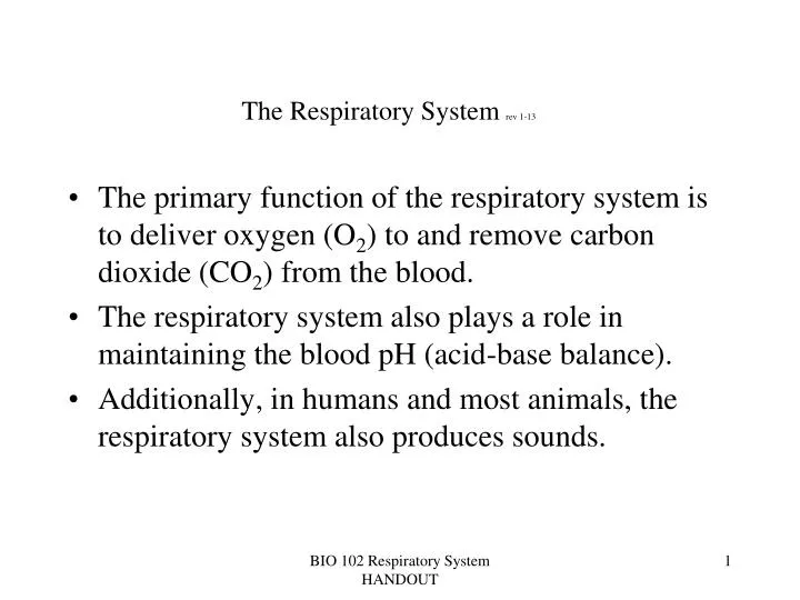 the respiratory system rev 1 13