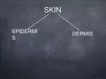 SKIN - slide 1