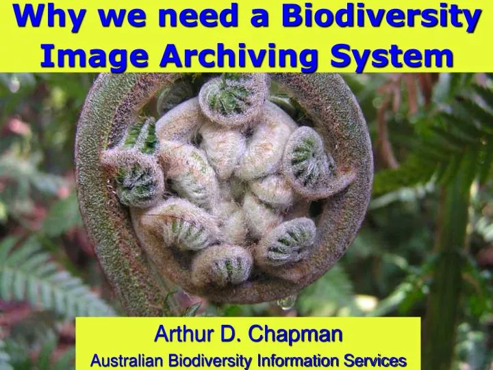 why we need a biodiversity image archiving system