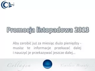 promocja listopadowa 2013