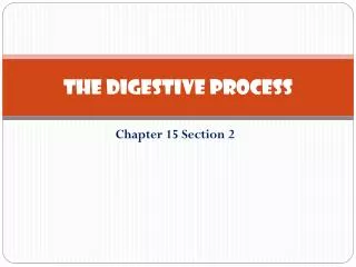 The Digestive process