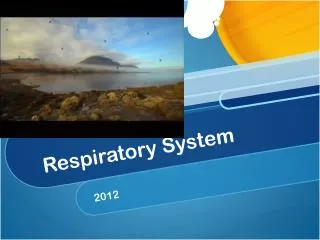 respiratory system