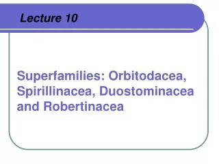 Superfamilies: Orbitodacea, Spirillinacea, Duostominacea and Robertinacea