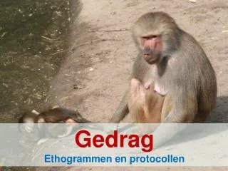 gedrag ethogrammen en protocollen
