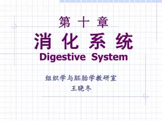 digestive system