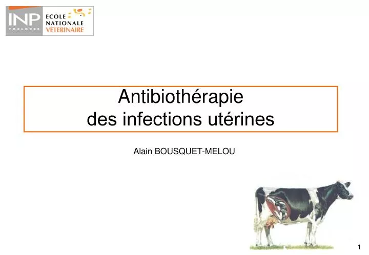 antibioth rapie des infections ut rines