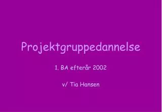 projektgruppedannelse