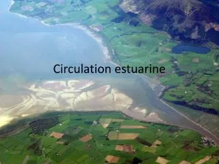 circulation estuarine