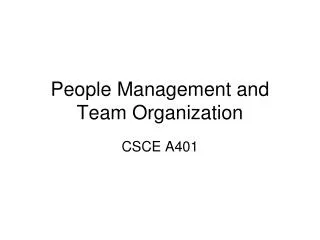 People Management and Team Organization