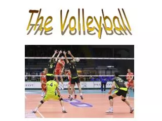 The Volleyball
